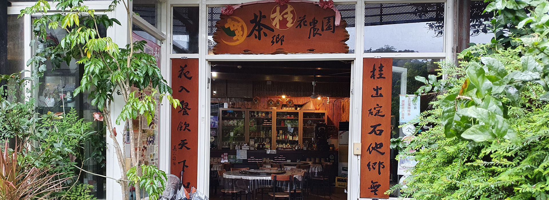 osmanthus-banner