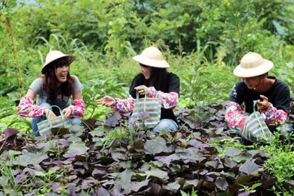 109年度旅行業推廣國民團體農業旅遊獎勵