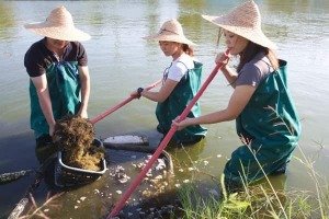 向禾休閒漁場