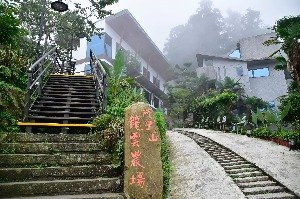 龍雲農場