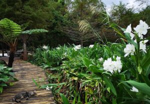 花泉休閒農場