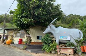 阿發哥果園