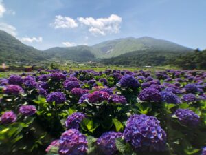 名陽匍休閒農莊