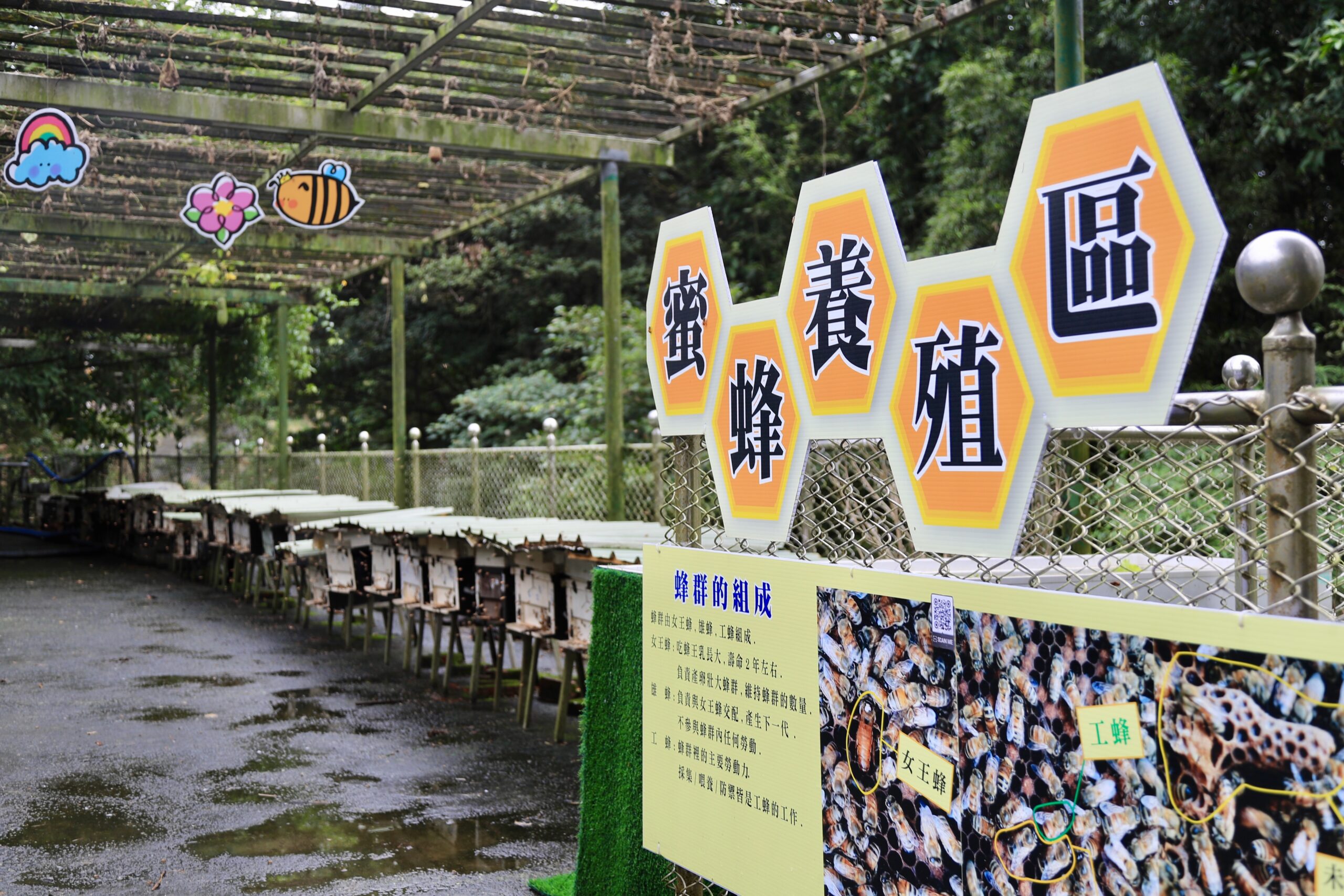金明昌農場017：農場設有蜜蜂隧道，多樣照片與解說牌傳遞養蜂知識