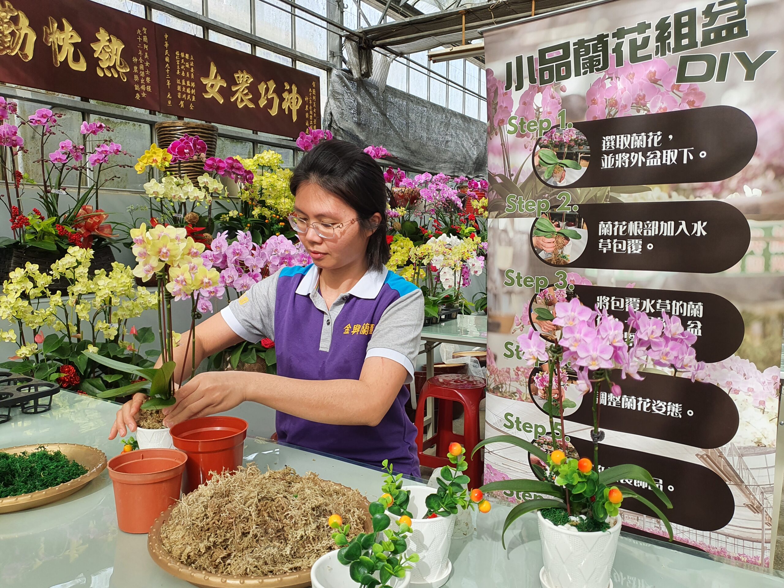 金興蘭園可體驗小品蘭花組盆DIY。