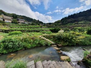 發現生活園藝休閒花園