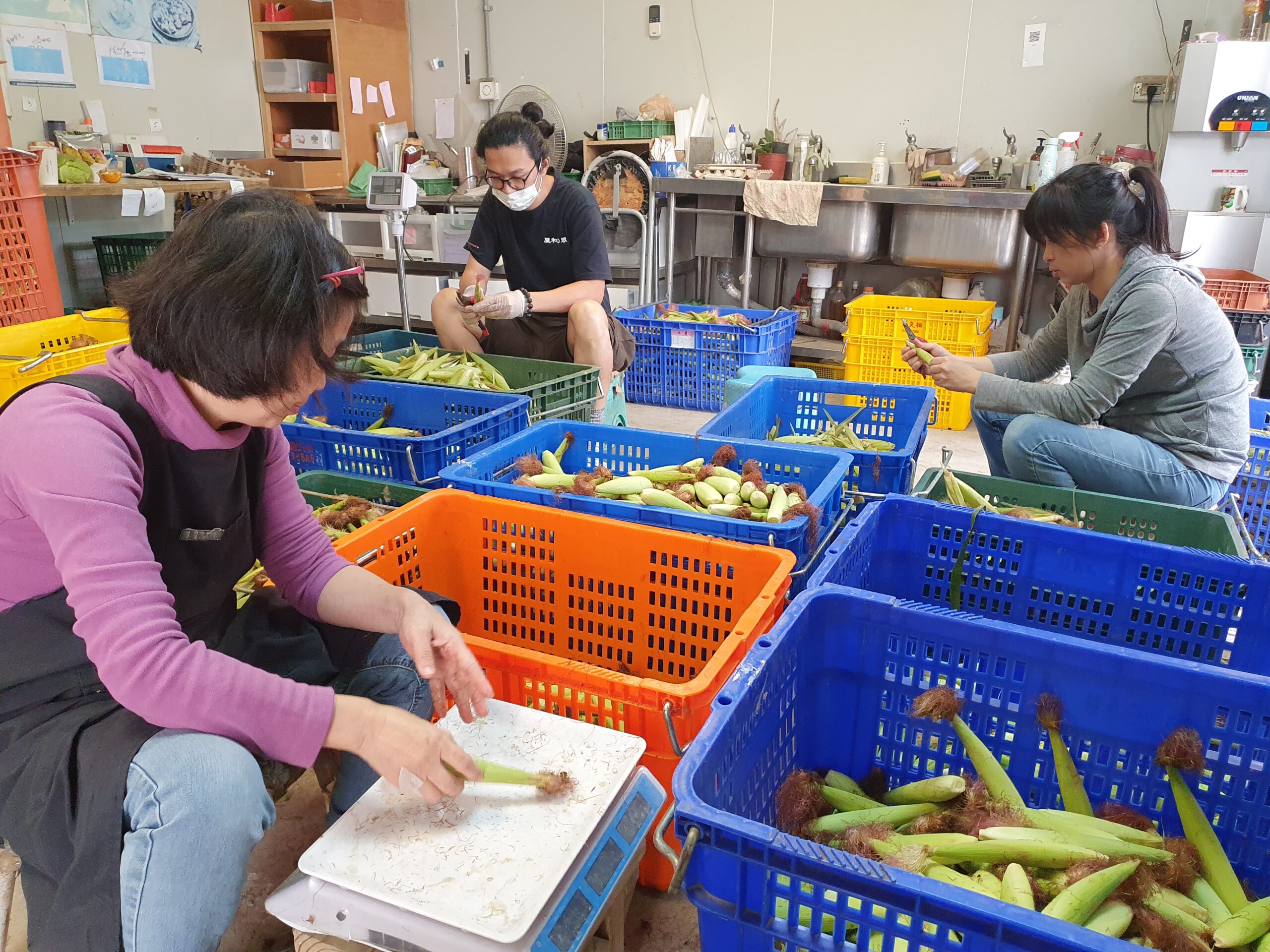 香草野園蔬菜銷往各大連鎖賣場。