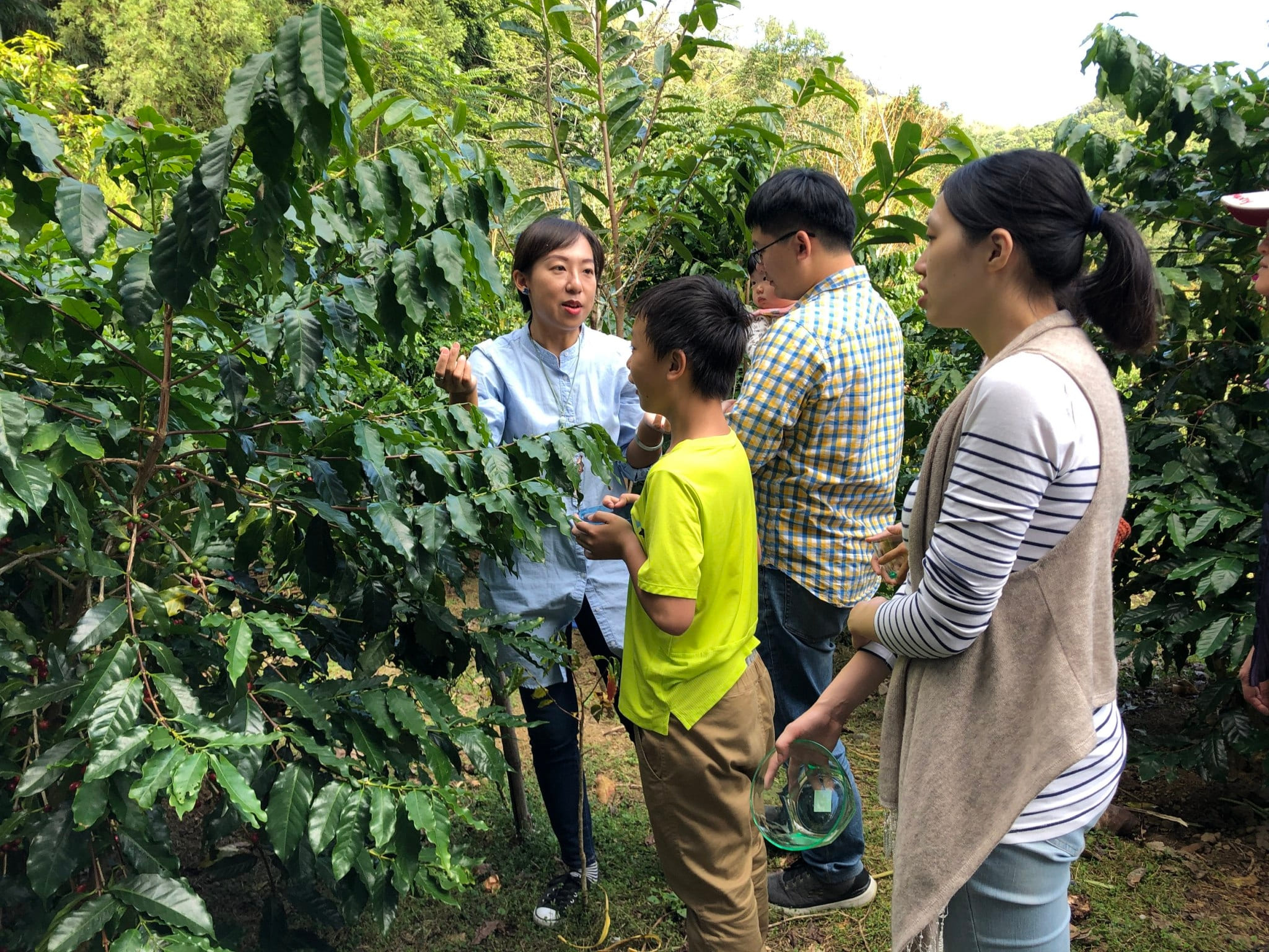 燕子陶陶藝咖啡民宿| 休閒農業旅遊| 台灣休閒農業發展協會-國際版網站