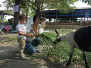 中原世紀休閒農場