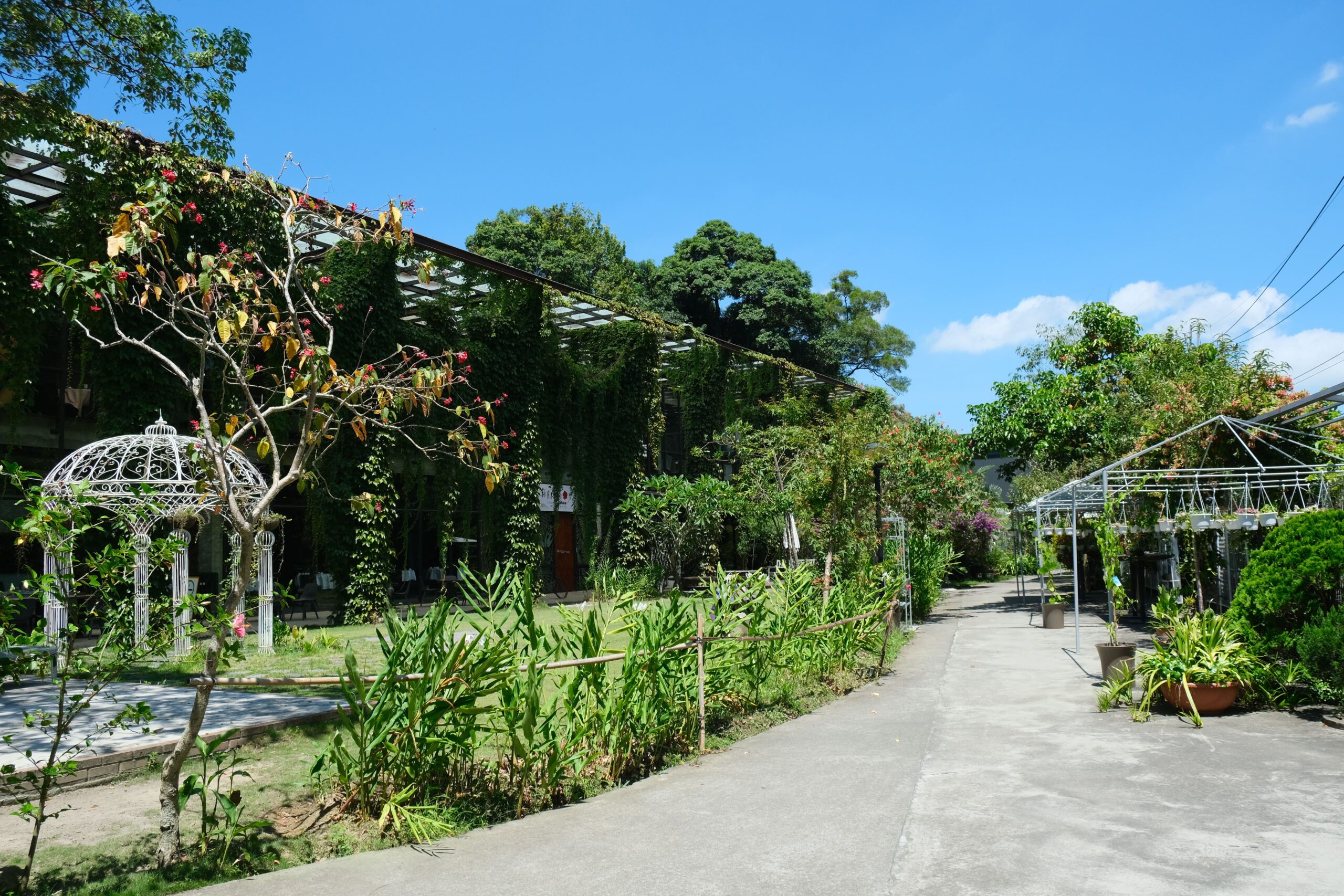 小步道周圍種植數十種花卉及蕨類植物，供遊客欣賞。[1]