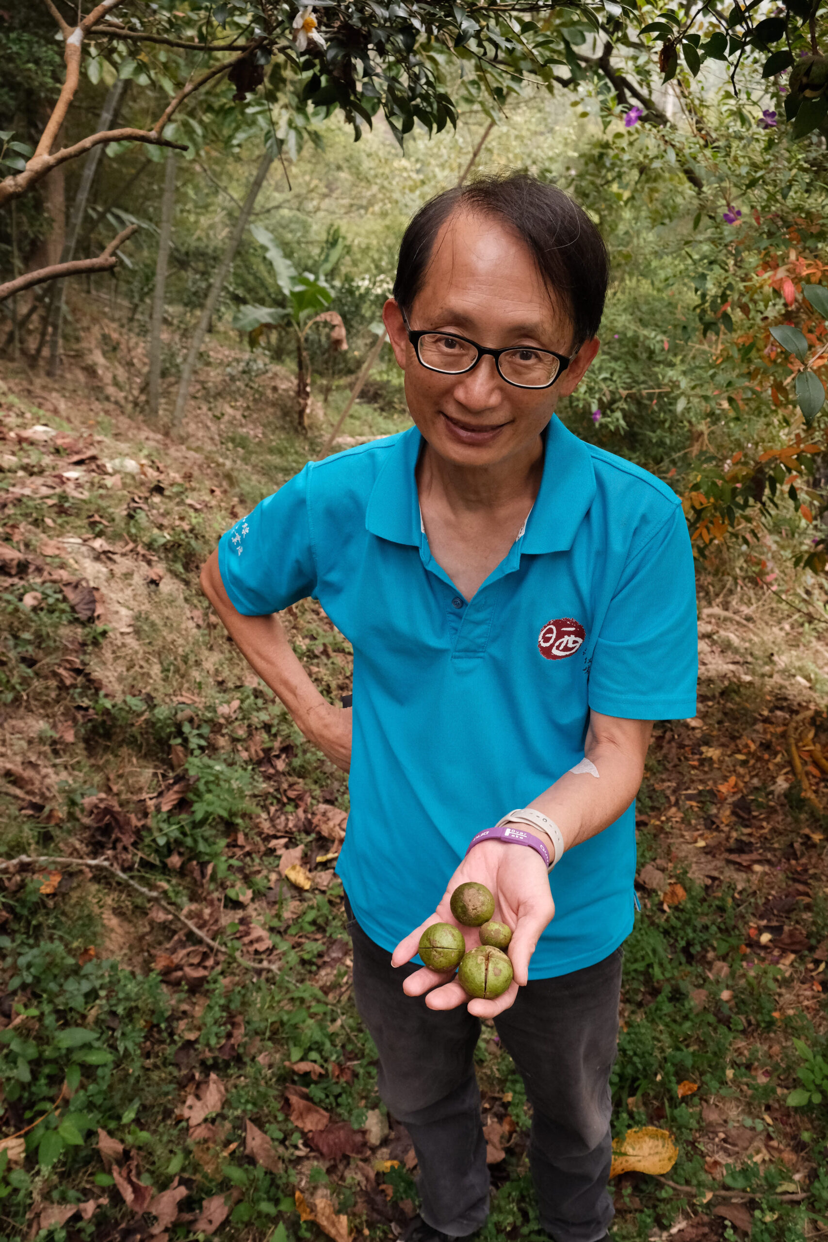 柏竺山莊主人陳英仁介紹園區豐富的樹林生態，像是採摘茶籽讓遊客體驗另類採果。