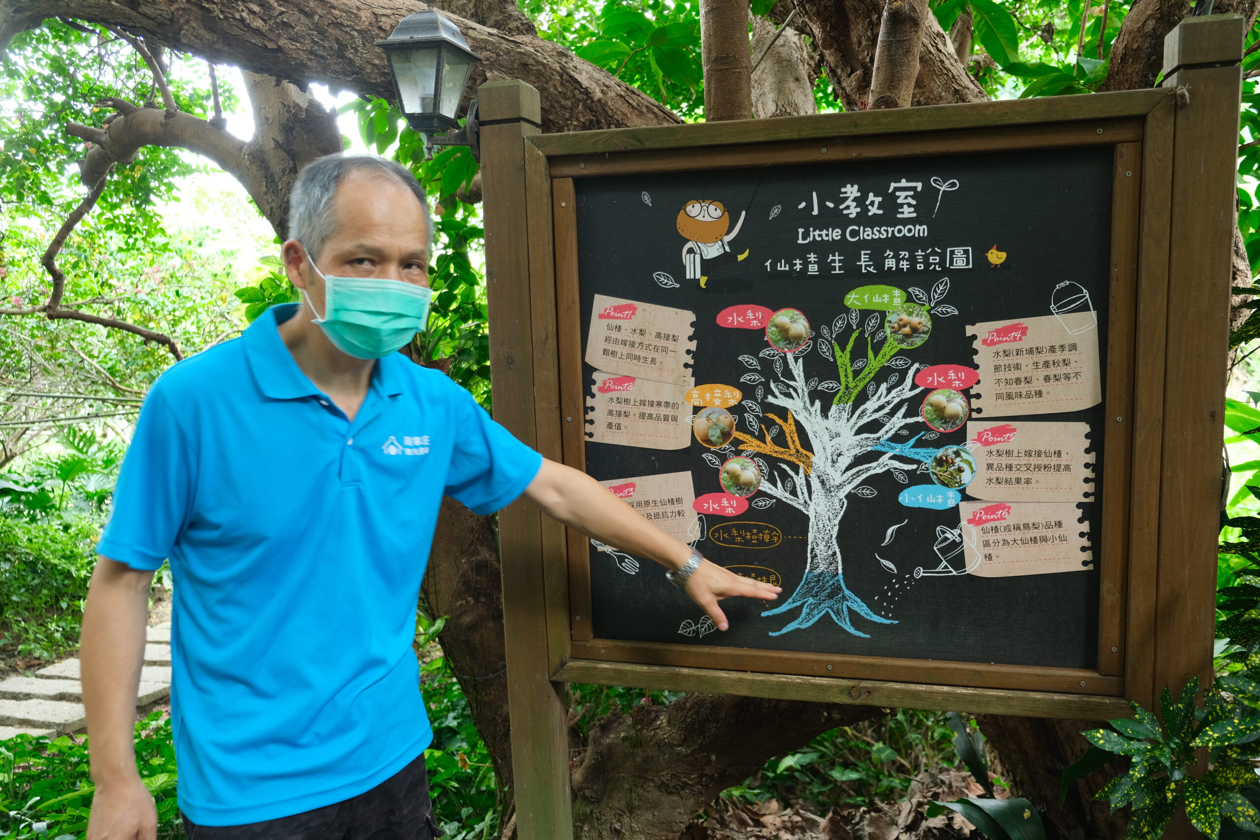 農場內也會帶導覽，讓遊客能認識仙楂生長過程及周圍生態。