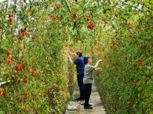 荳媽媽休閒農園