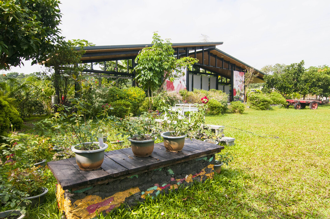 大花農場陽光草原