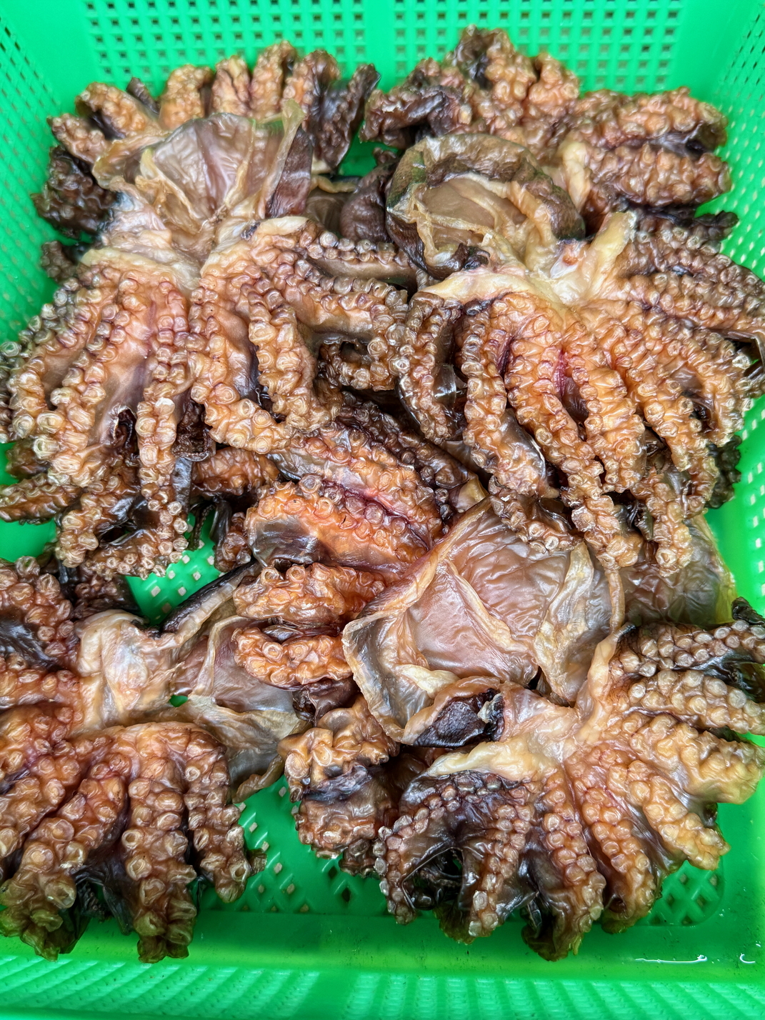 010澎湖的漁獲非常多樣，元貝田媽媽料理每次都依釣獲的料理而隨時調整（圖為澎湖魚市場漁獲畫面）001