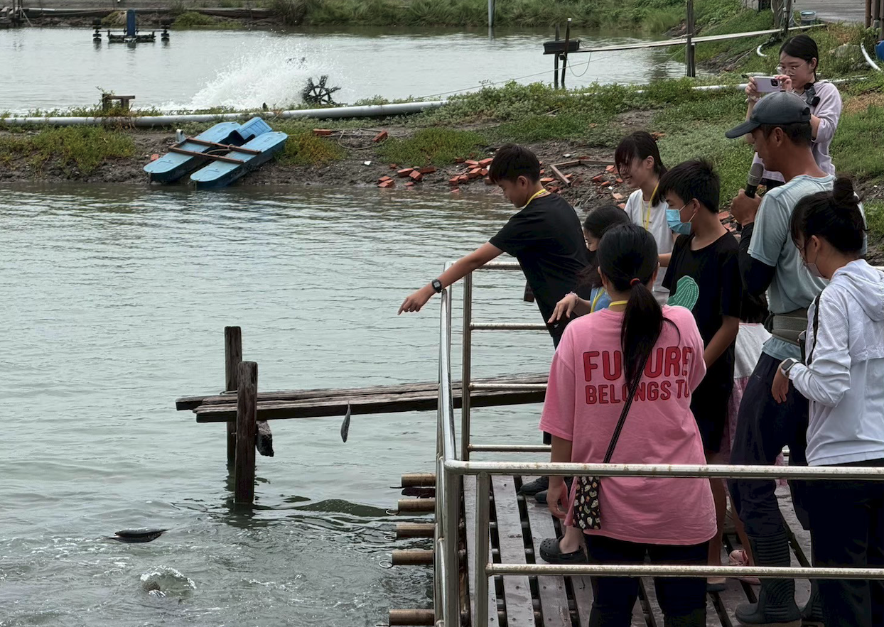 08_餵石斑體驗讓大人小孩都玩得不亦樂乎