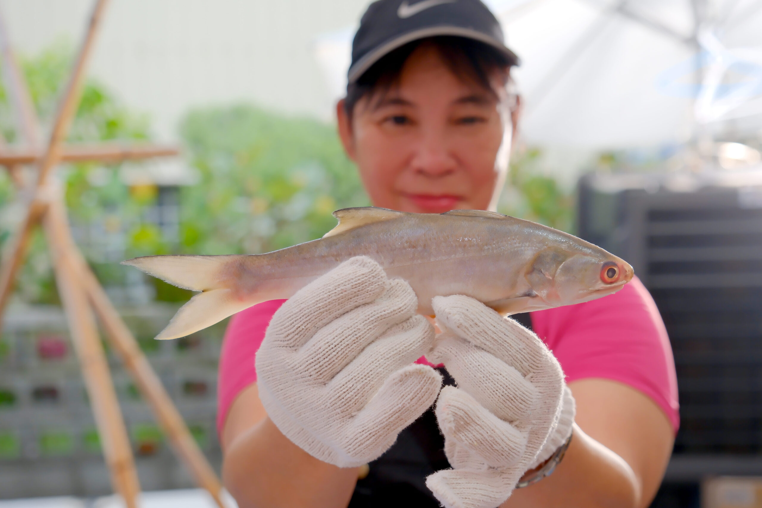 20250819‧屏東‧枋寮鄉新龍社區發展協會-07