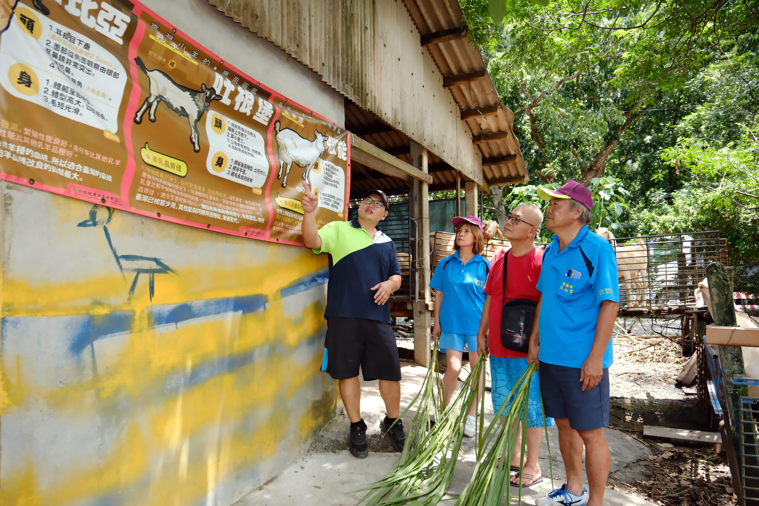 20250820‧屏東‧囍羊羊牧場-03