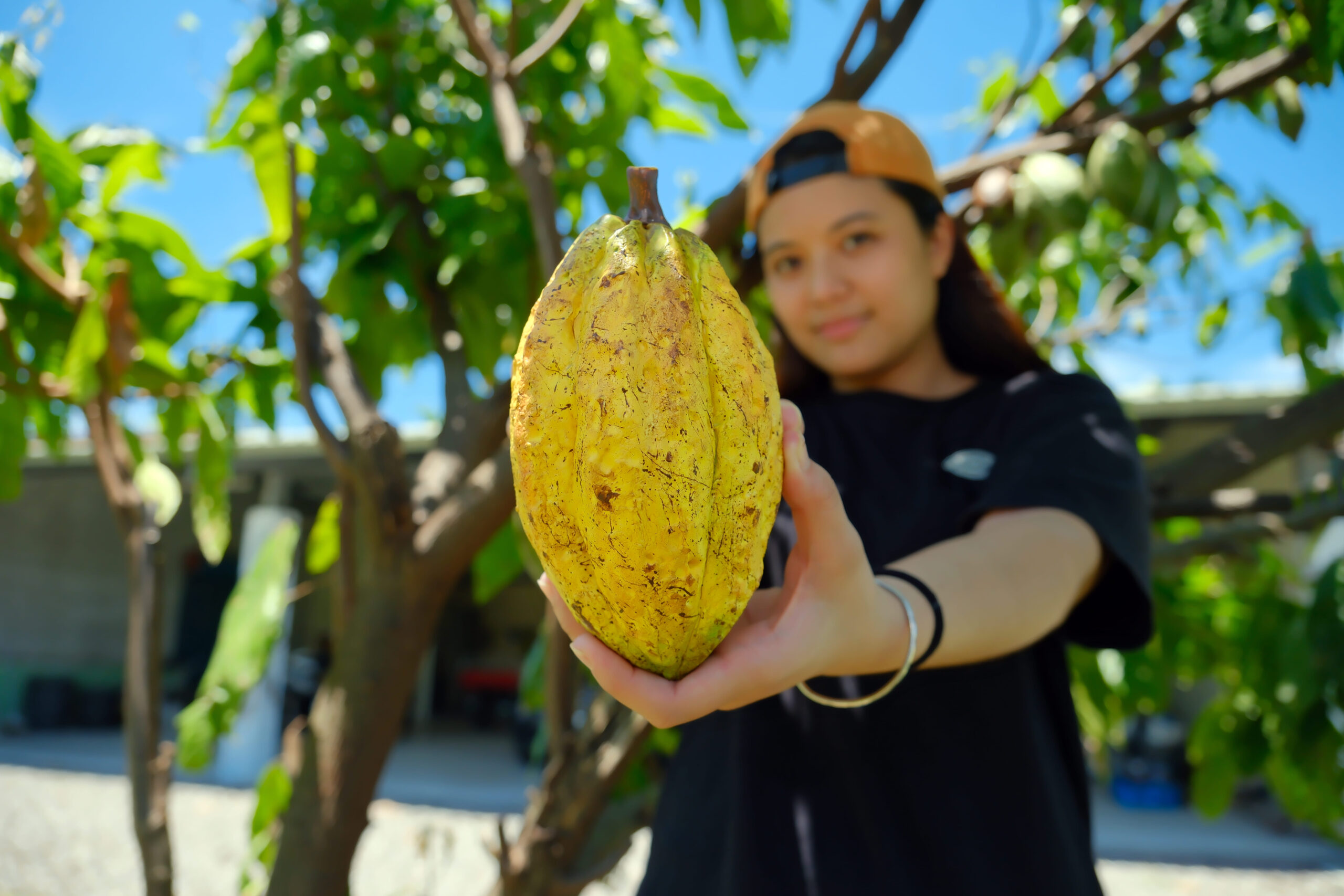 20250821‧屏東‧可可雅米巧克力工坊-05