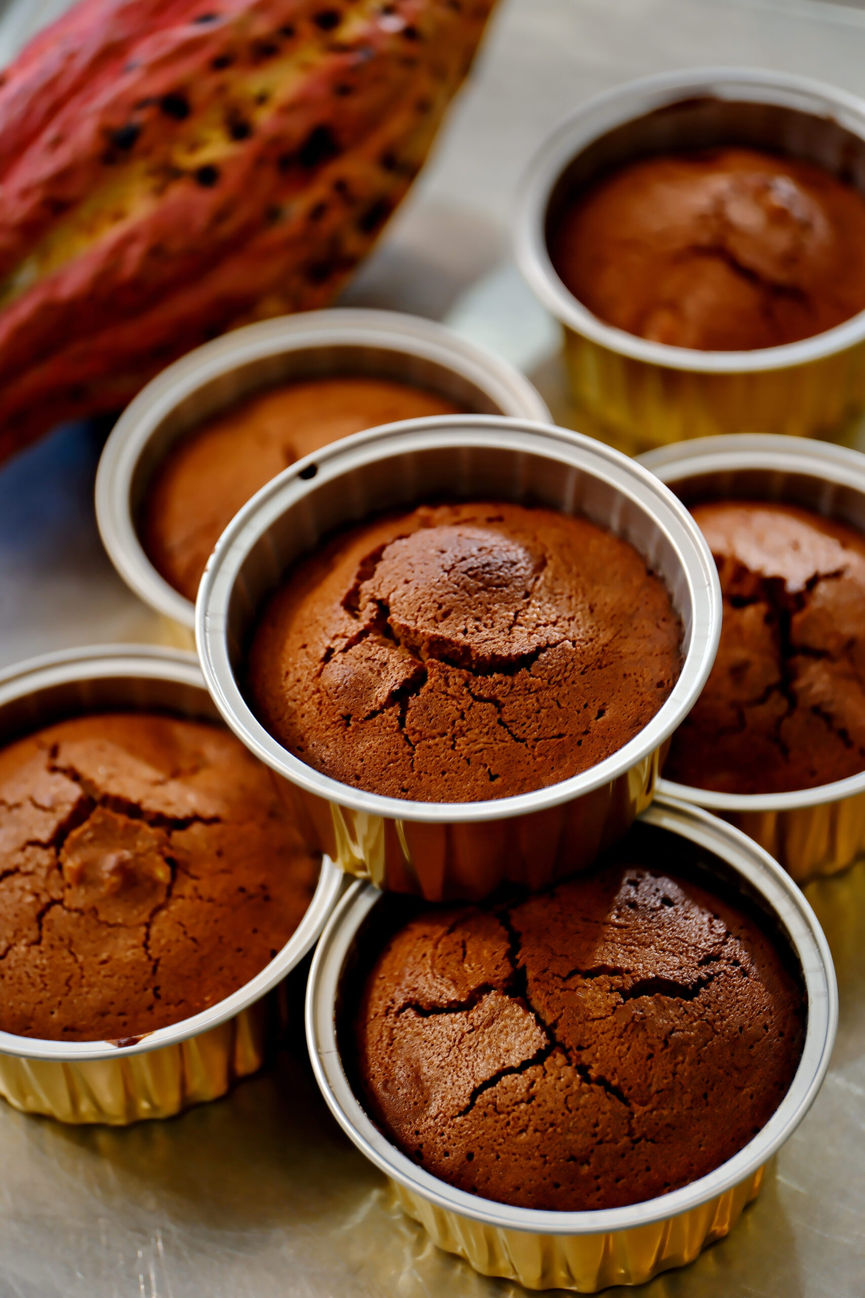 20250821‧屏東‧可可雅米巧克力工坊-11