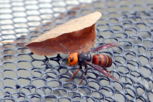 多多鳥濕地學校