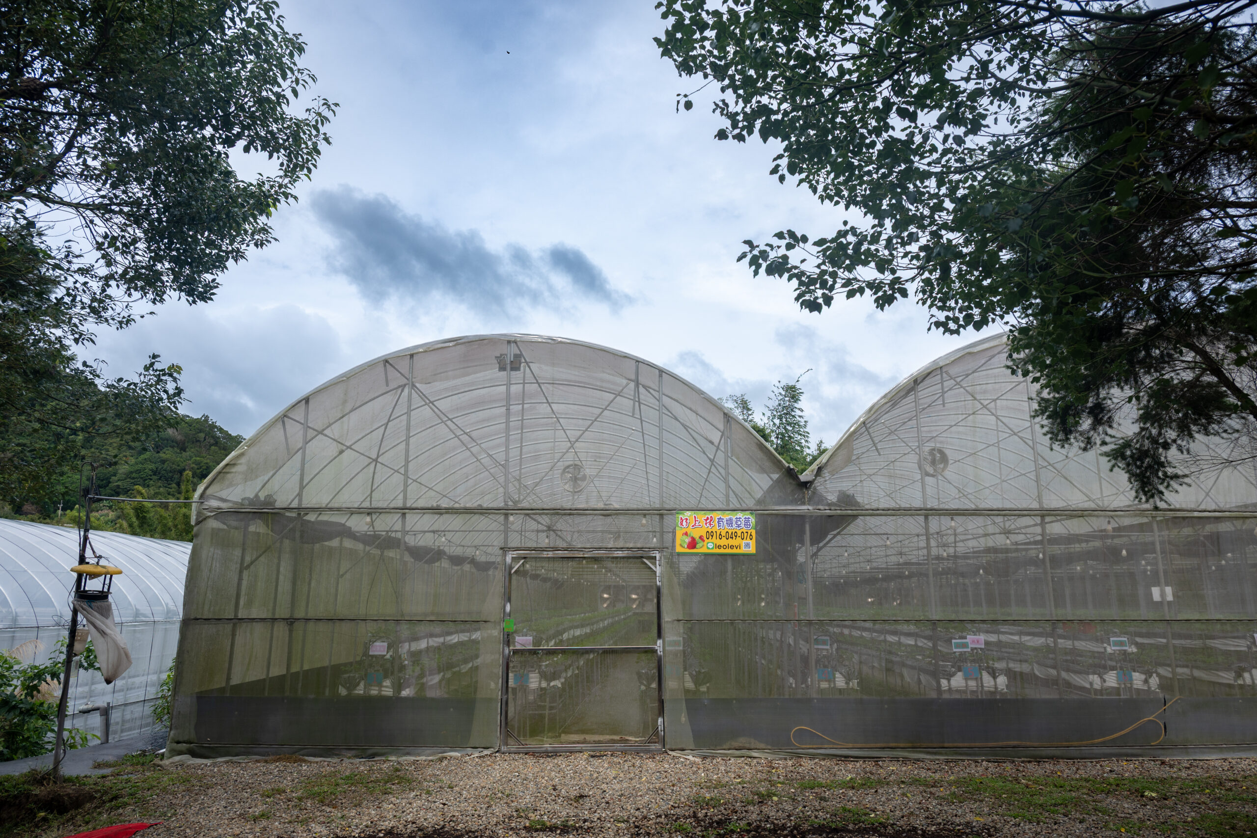 1.「上好林」是一座藏在山裡的有機草莓園。