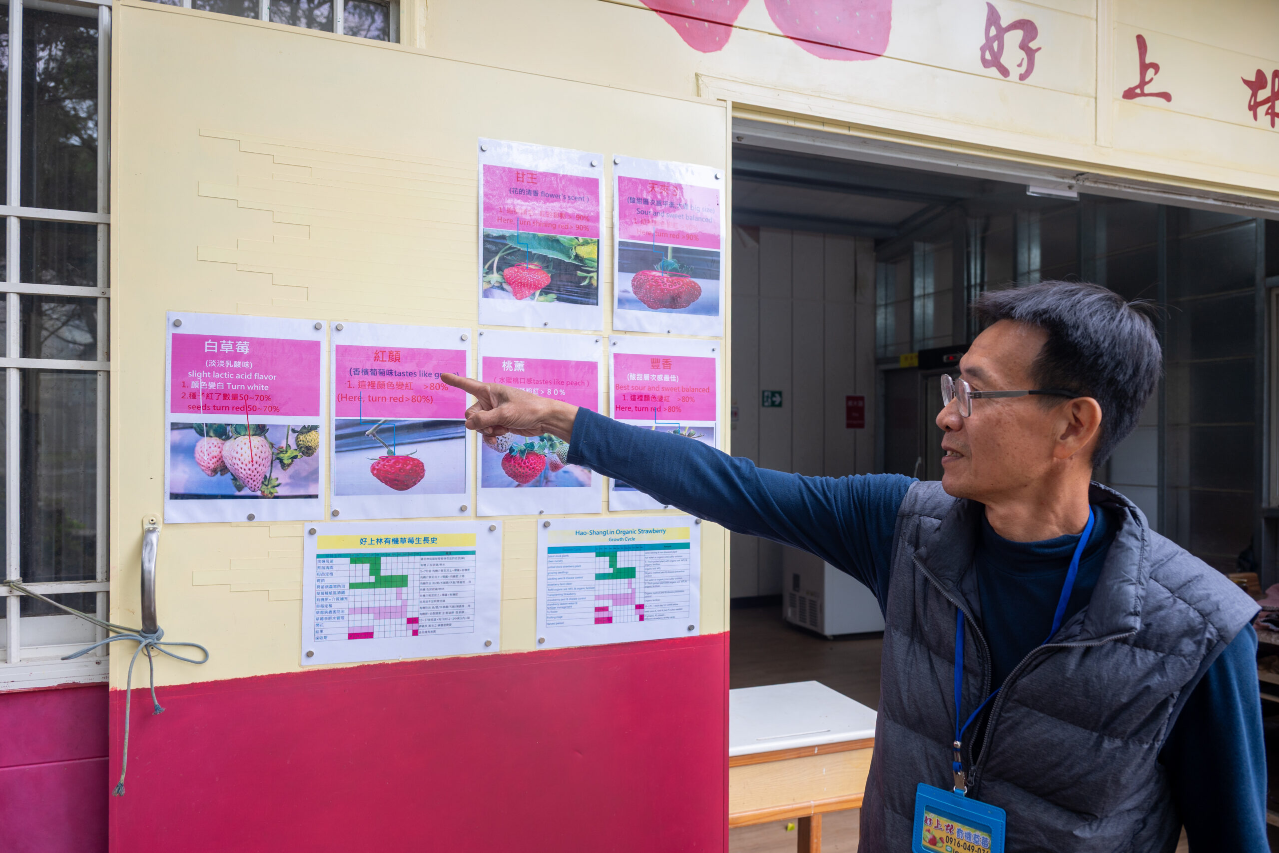 3.每位到訪的遊客都能聽到園主的親自解說不同品種草莓的風味特色。