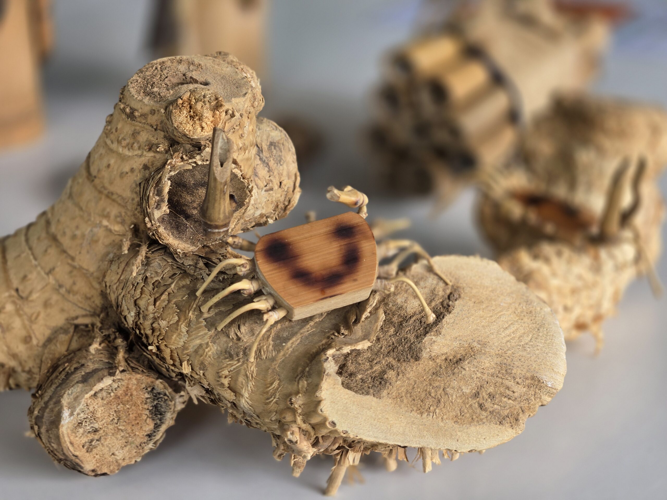 5.二崎生態休閒農場運用竹子開發各種體驗活動。