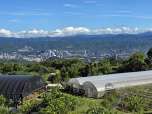 白石森活有機農場