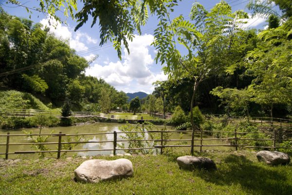 川山境花旗木下風洞仔