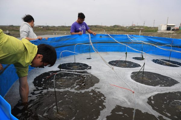 006長盈海味屋、旭海安溯水產不只自己養魚，也帶領許多水產相關科系年輕學子一起，用專業養魚